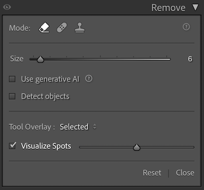The Visualize Spots checkbox